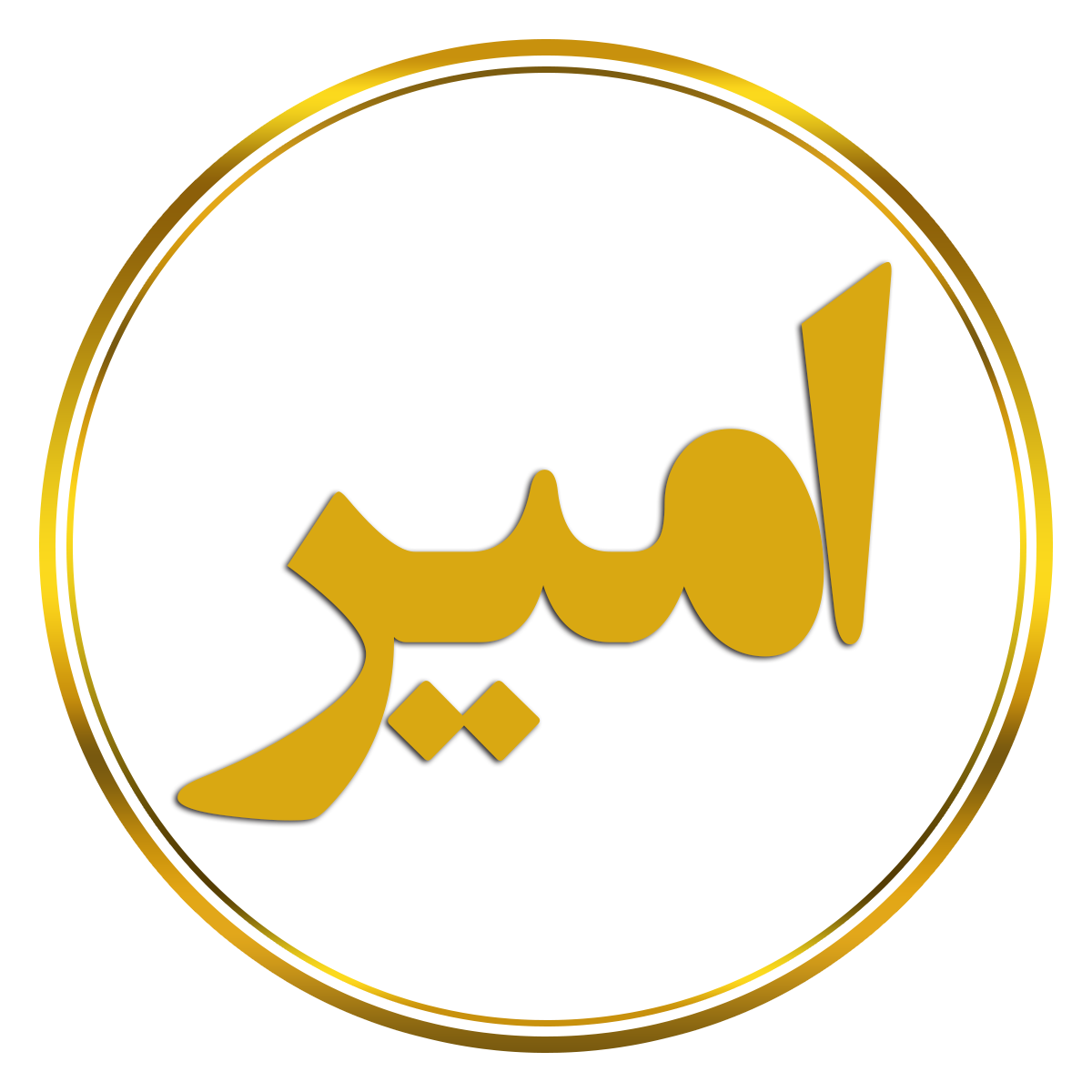 logo-amir