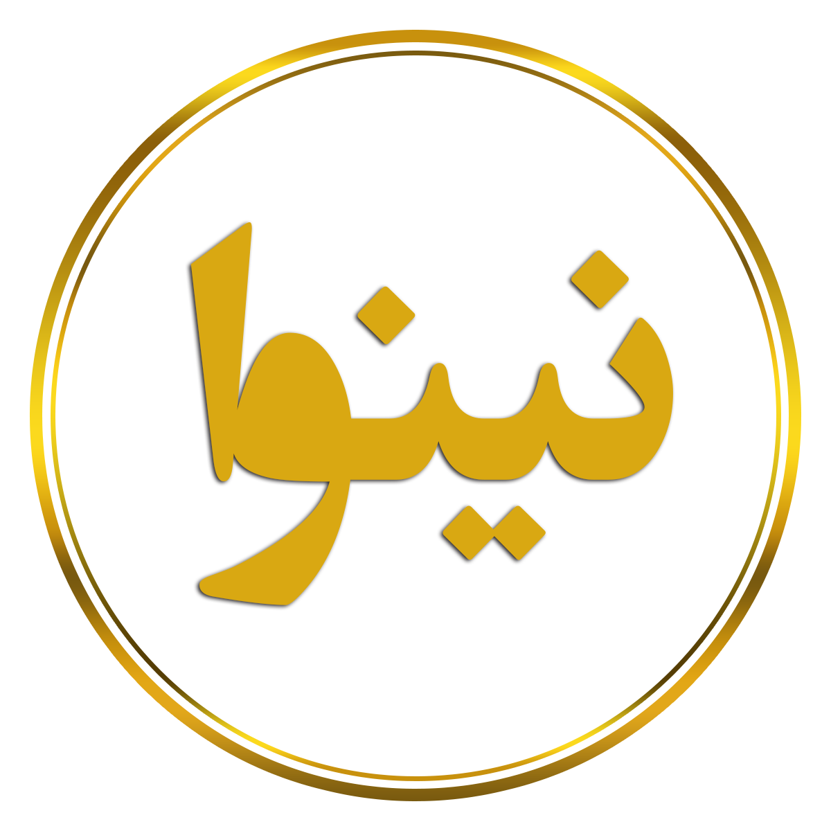 logo-neinava